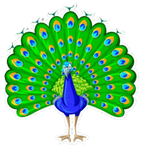 Peacocks